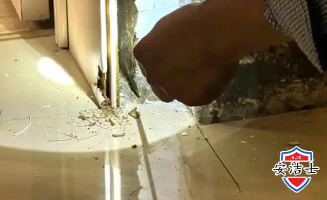 镇海区房屋建筑防治白蚁