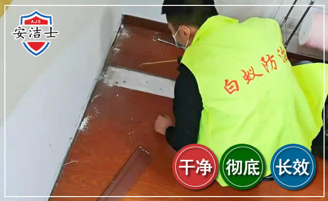 镇海区除四害现场