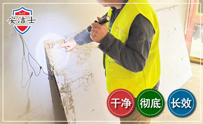 镇海区除白蚁现场